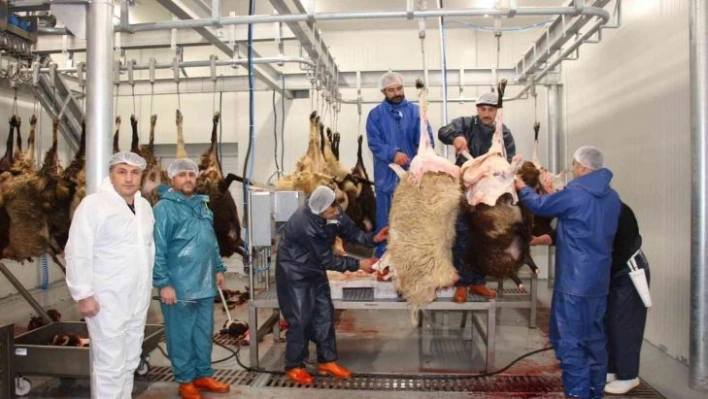 Oltu Cağ Kebap Fabrikası deneme üretimine başladı