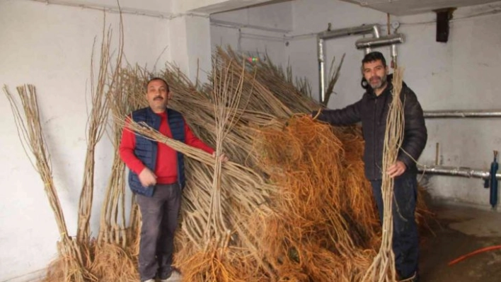 Oltu'da 15 bin fidan dağıtımı yapıldı