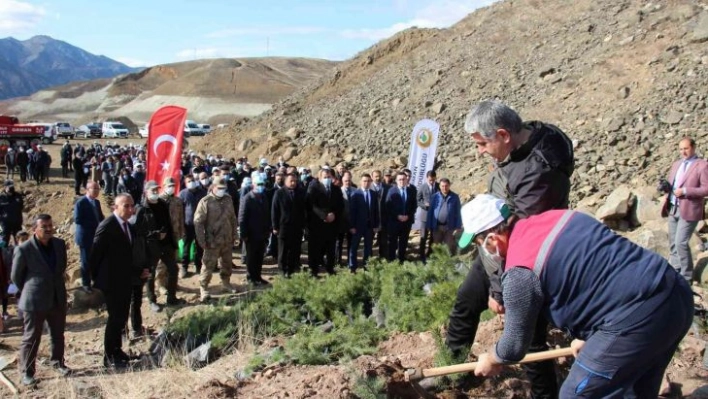 Oltu'da 6 bin fidan toprakla buluştu