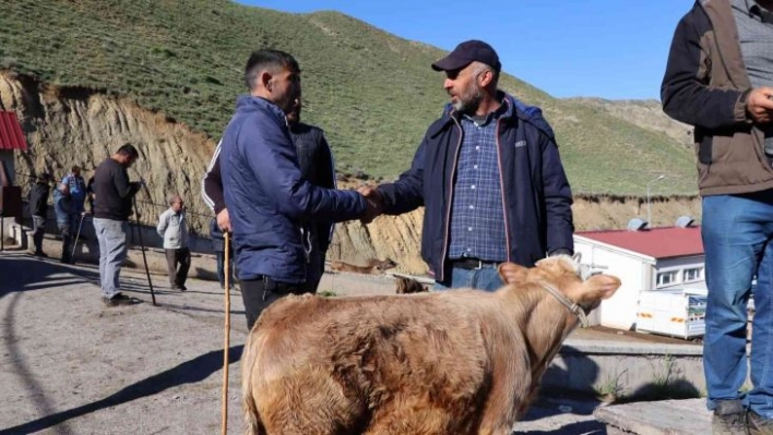 Oltu hayvan pazarında satışlar devam ediyor