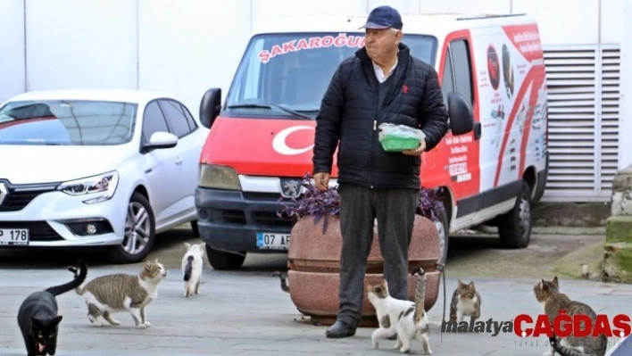 Onu gören kedi ve köpekler esas duruşa geçiyor