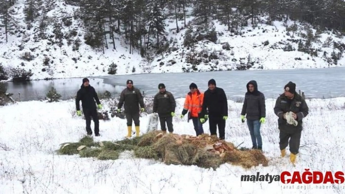 Orman Bölge Müdürlüğü'nden yaban hayvanlarını yemleme çalışması