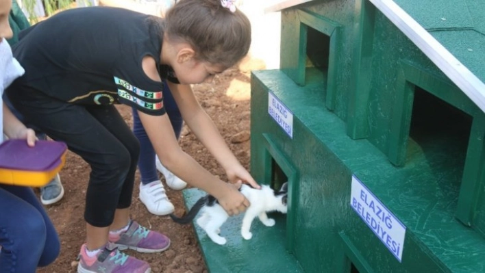 Örnek projeyle 'Kedi ve köpekler' okul bahçesinde