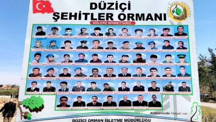 Osmaniye'de 'Şehitler Ormanı' oluşturuldu