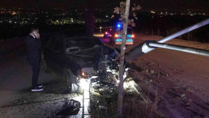 Otomobil aydınlatma direğini ve ağacı devirdi: 1 yaralı