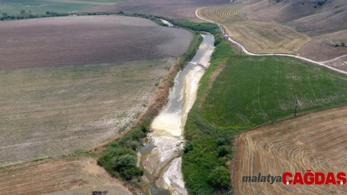 (Özel) Yaz soğanı hasatı başladı