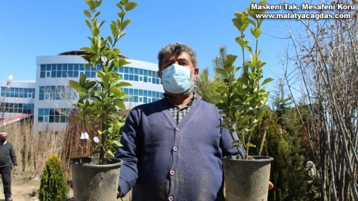 Pandemi nedeniyle köye gidenler çoğaldı, fidan satışları arttı