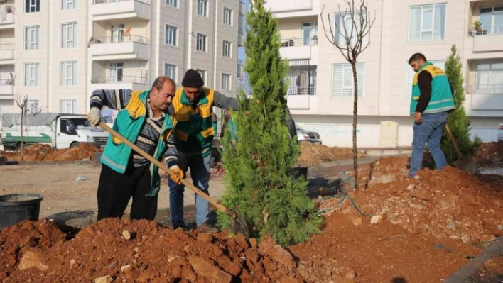 Parklarda kışa hazırlık çalışmaları yapılıyor