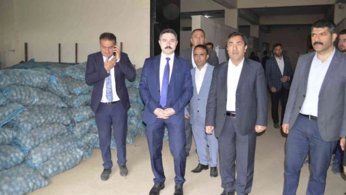 Pasinler'de 75 ton patates tohumu dağıtıldı