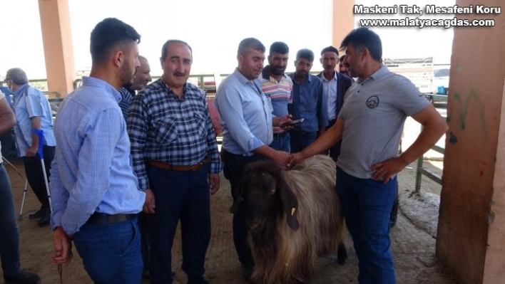 Pazarlıkta tokalaşma dönemi yeniden başladı