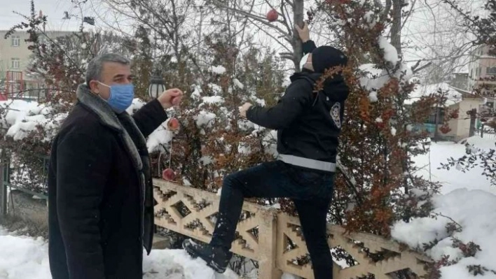 Polis yaban ve sokak hayvanları unutmadı