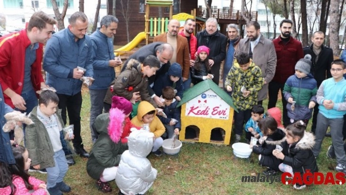 Postacılar artık gittiği her sokağa mama bırakacak