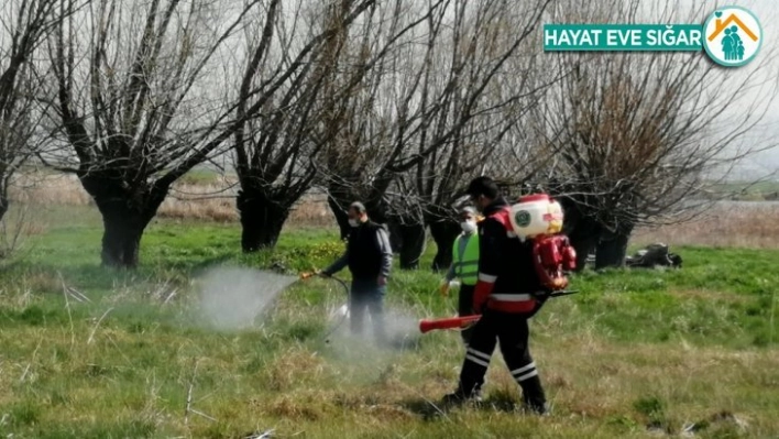 Pursaklar'da yaz öncesi ilaçlama