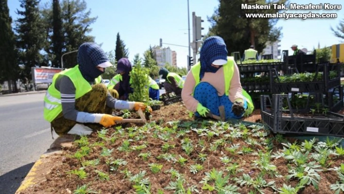 Refüj ve kavşaklarda bakım çalışmaları