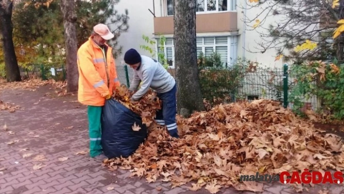 Safranbolu'de çevre temizliği çalışması