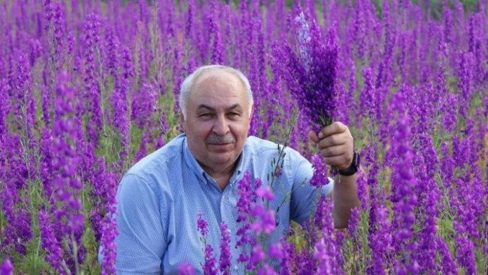 Sağanaklar doğayı mor'a boyadı