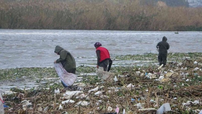 Sahile vuran odunlar kışlık yakacakları oldu