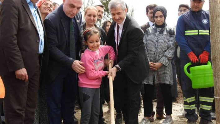 Şahinbey'deki boş arazi ormana dönüşüyor