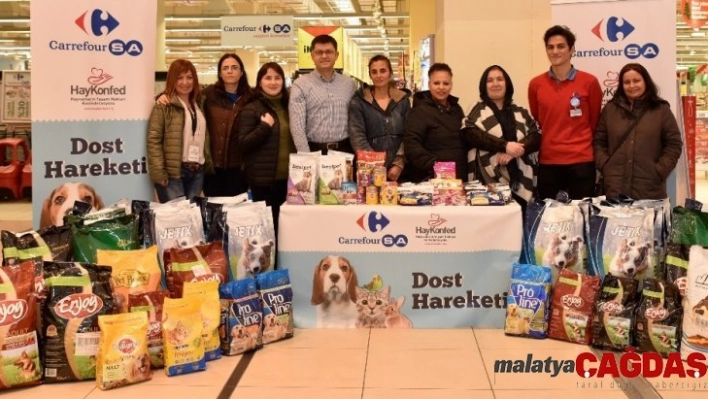 Sahipsiz hayvanları besleyen gönüllülere mama desteği artarak devam ediyor