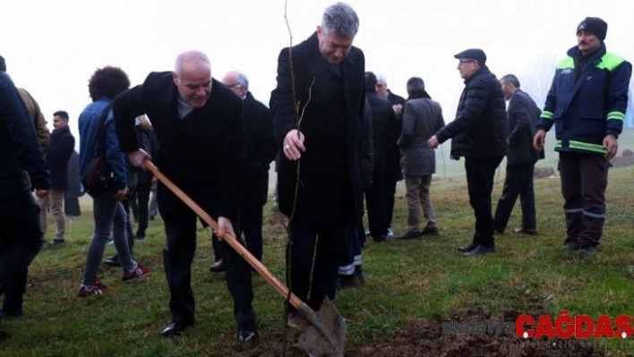 Sakaryalı gazeteciler hatıra ormanına 250 adet fidan dikti