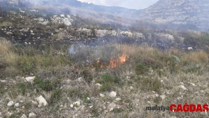 Samandağ'da kuru ot yangını