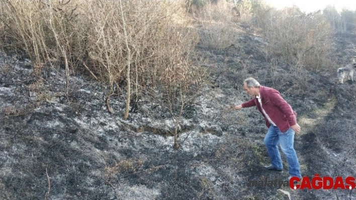 Samsun'da ormanda örtü yangını