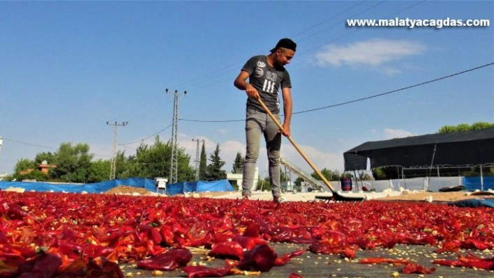 Şanlıurfa'da acı telaş