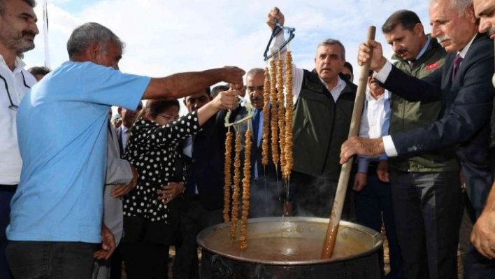 Şanlıurfa'da bağ bozumu festivali