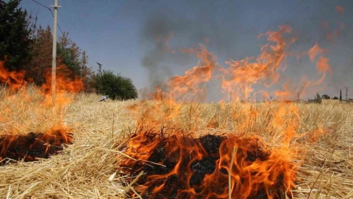 Şanlıurfa'da çiftçilere anız uyarısı