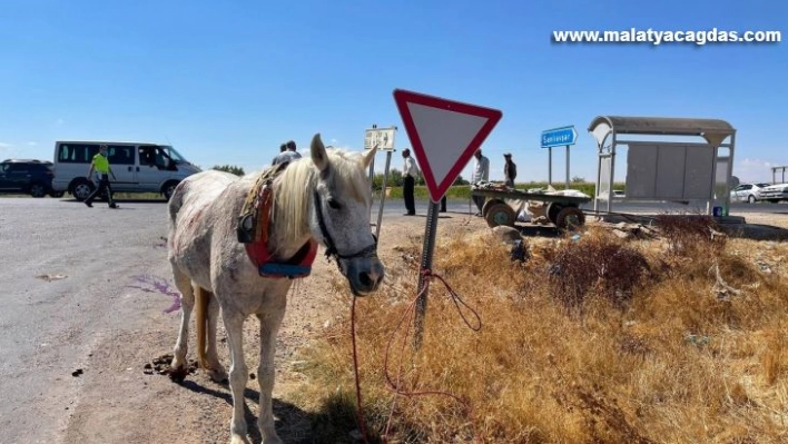 Şanlıurfa'da ilginç kaza