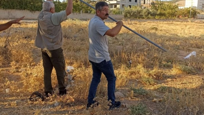 Şanlıurfa'da kaçak avlanan kişiye ceza