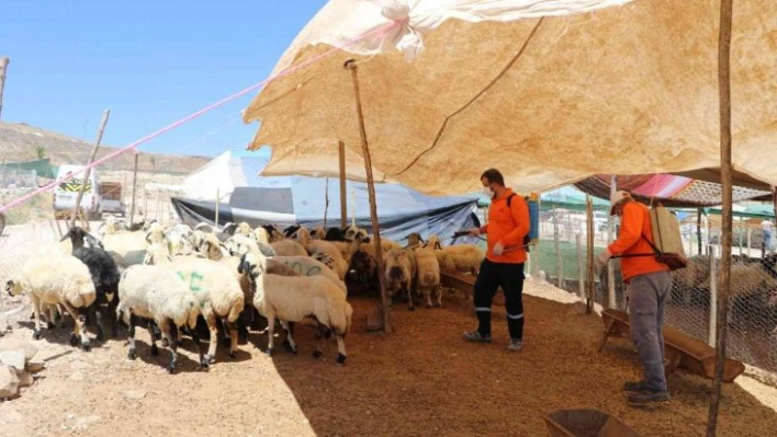 Şanlıurfa'da kurban satış noktalarına ilaçlama