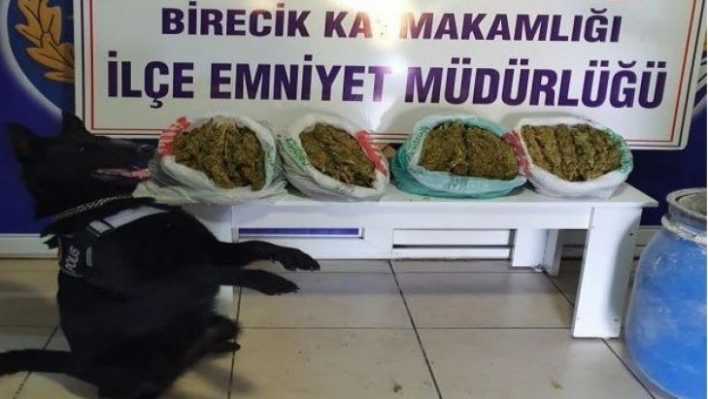 Şanlıurfa'da narkotik köpeği 'Kyra' uyuşturucuya geçit vermedi