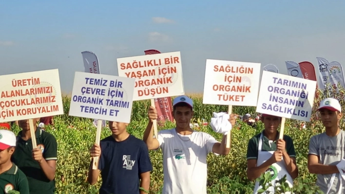 Şanlıurfa'da organik tarım şenlikleri düzenlendi