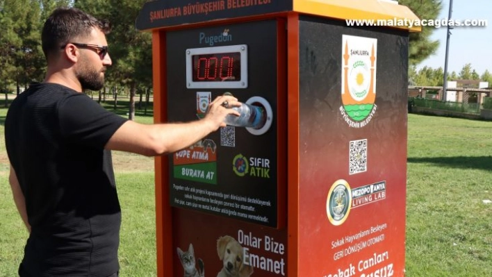 Şanlıurfa'da sokak hayvanları 'mamamatik' ile beslenecek