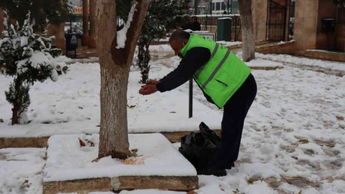 Şanlıurfa'da sokak hayvanları unutulmadı