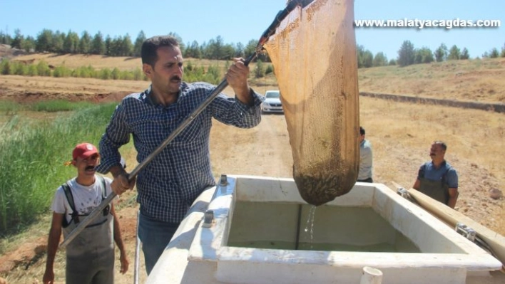 Şanlıurfa'da üretilen 17 milyon yavru balık 16 ile gönderildi