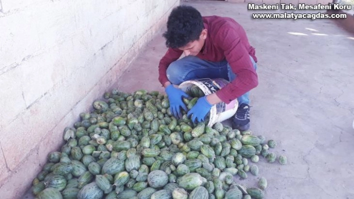 Şanlıurfa'da yetiştirilen Şelengo tescillendi