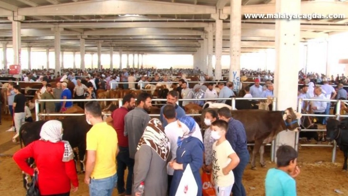 Şanlıurfa Kurban Pazarı'nda son gün yoğunluğu