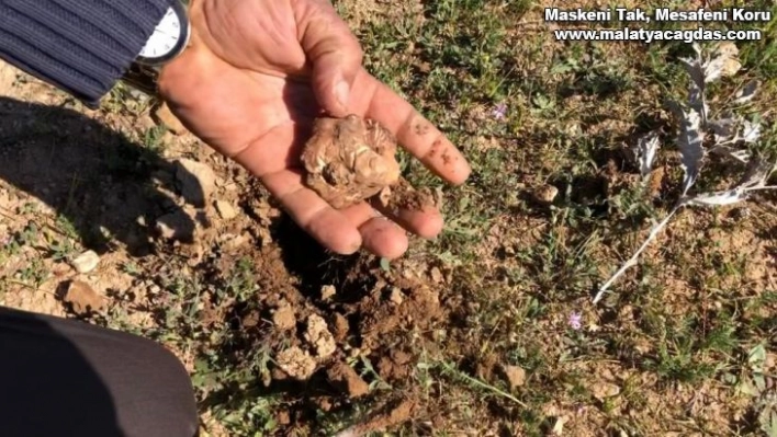 Şanlıurfa'nın vazgeçilmez lezzeti keme Kebabı