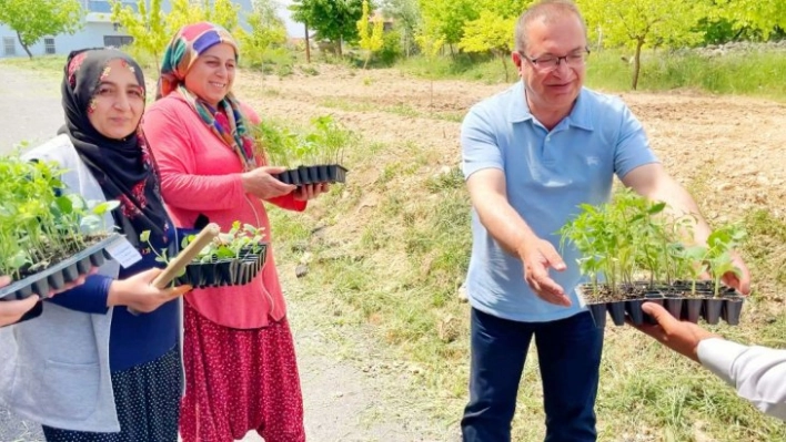 Sebze Fideleri Çiftçilerle Buluştu