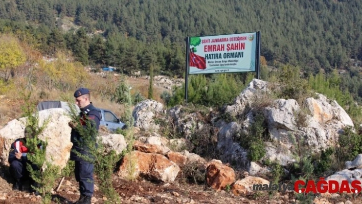 Şehit Emrah Şahin'in adı hatıra ormanı ile yaşayacak