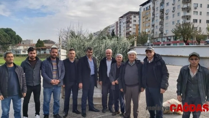 Şehzadeler Ziraat Odasından üreticiye 35 bin zeytin fidanı