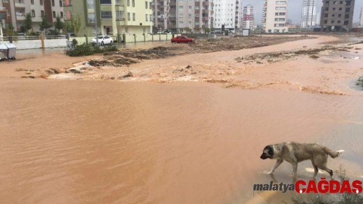 Sel sularına kapılan çocuğu vatandaşlar kurtardı