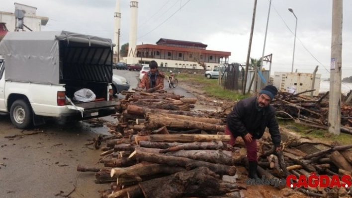 Sel sularıyla taşınan odunları topladılar