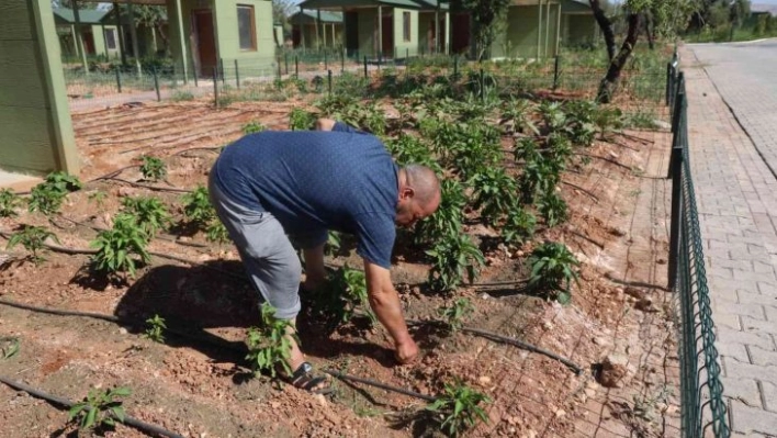 Sıcaktan bunalanlar hobi bahçeleri ve belediye havuzlarına koştu