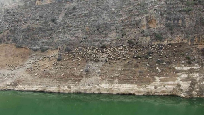 Siirt'te baraj suyu yolları kapattı