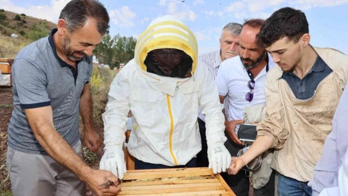 Sivas bal üretiminde zirvede