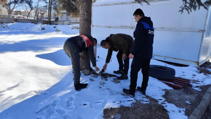 Soğuk kış gününde sokak hayvanları unutulmadı