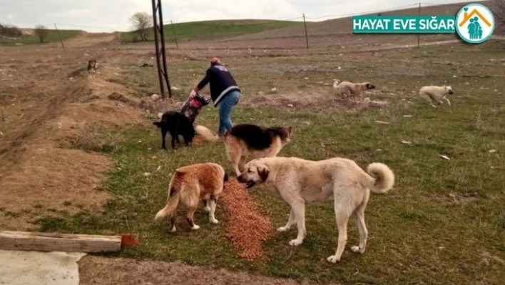 Sokağa çıkma yasağında çalışmalar devam ediyor